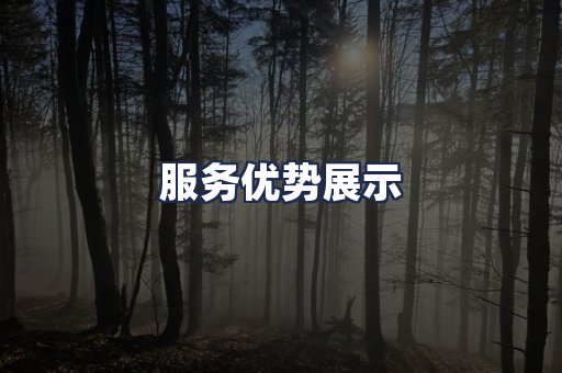 服务优势展示